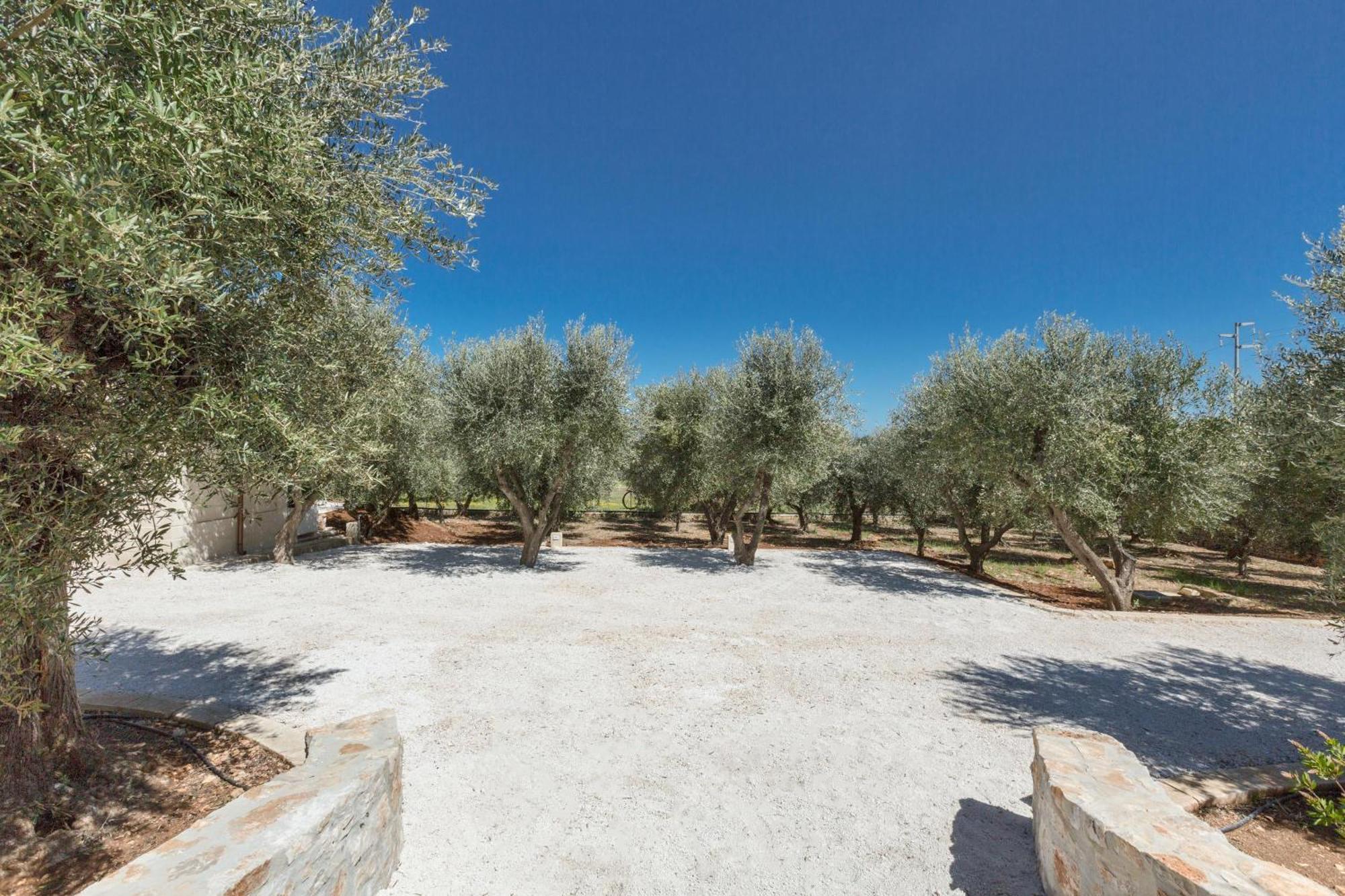 Trulli Ulivo Di Puglia By Barbarhouse Βίλα Selva Di Fasano Εξωτερικό φωτογραφία